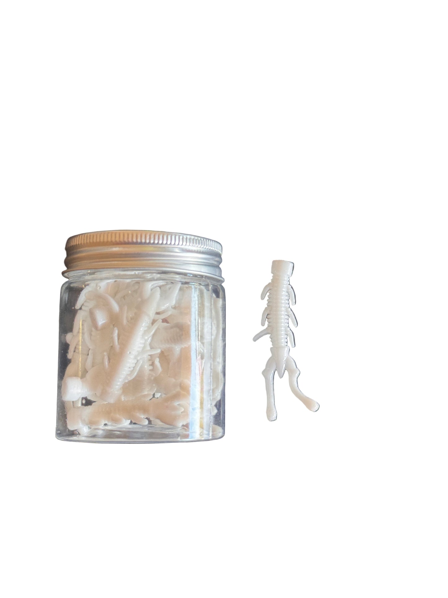 White Sea Bug 2.5 Inch