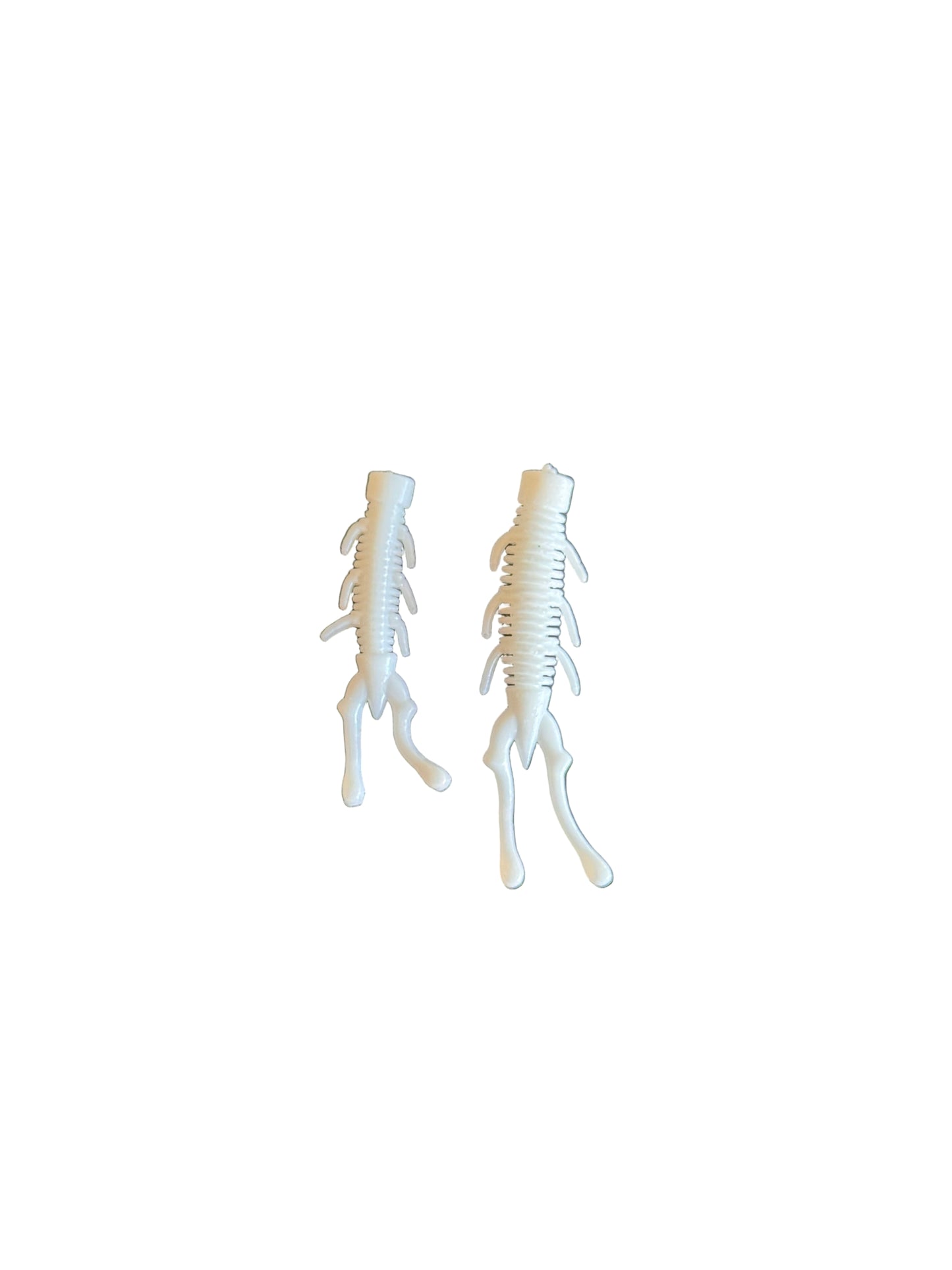 White Sea Bugs