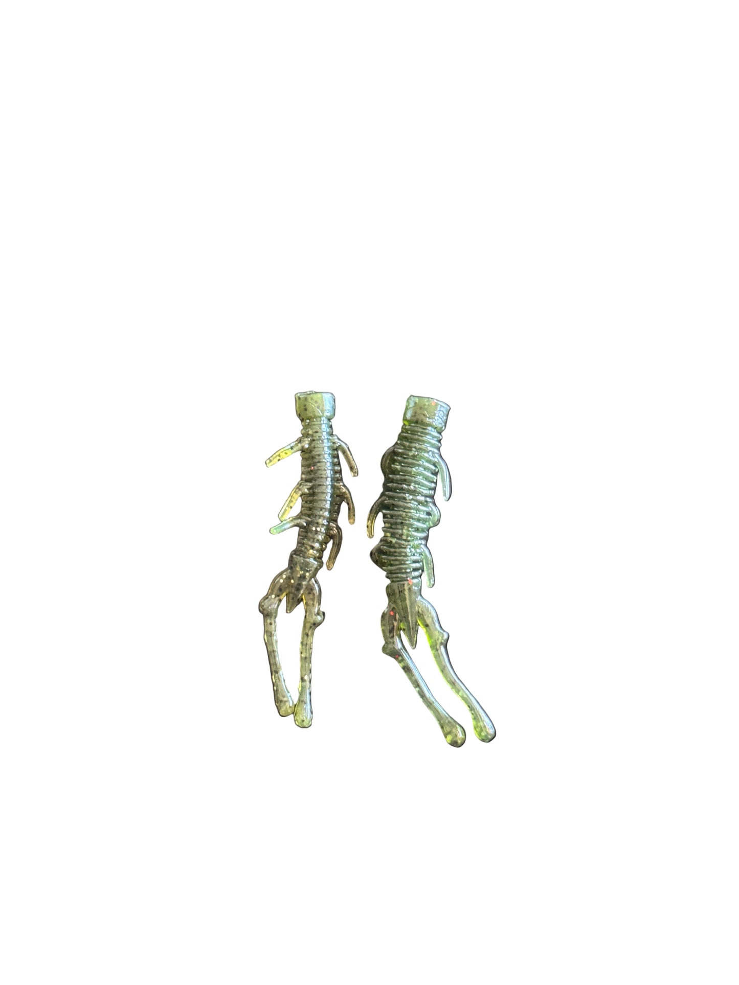 Dark Green Sea Bug Both Sizes