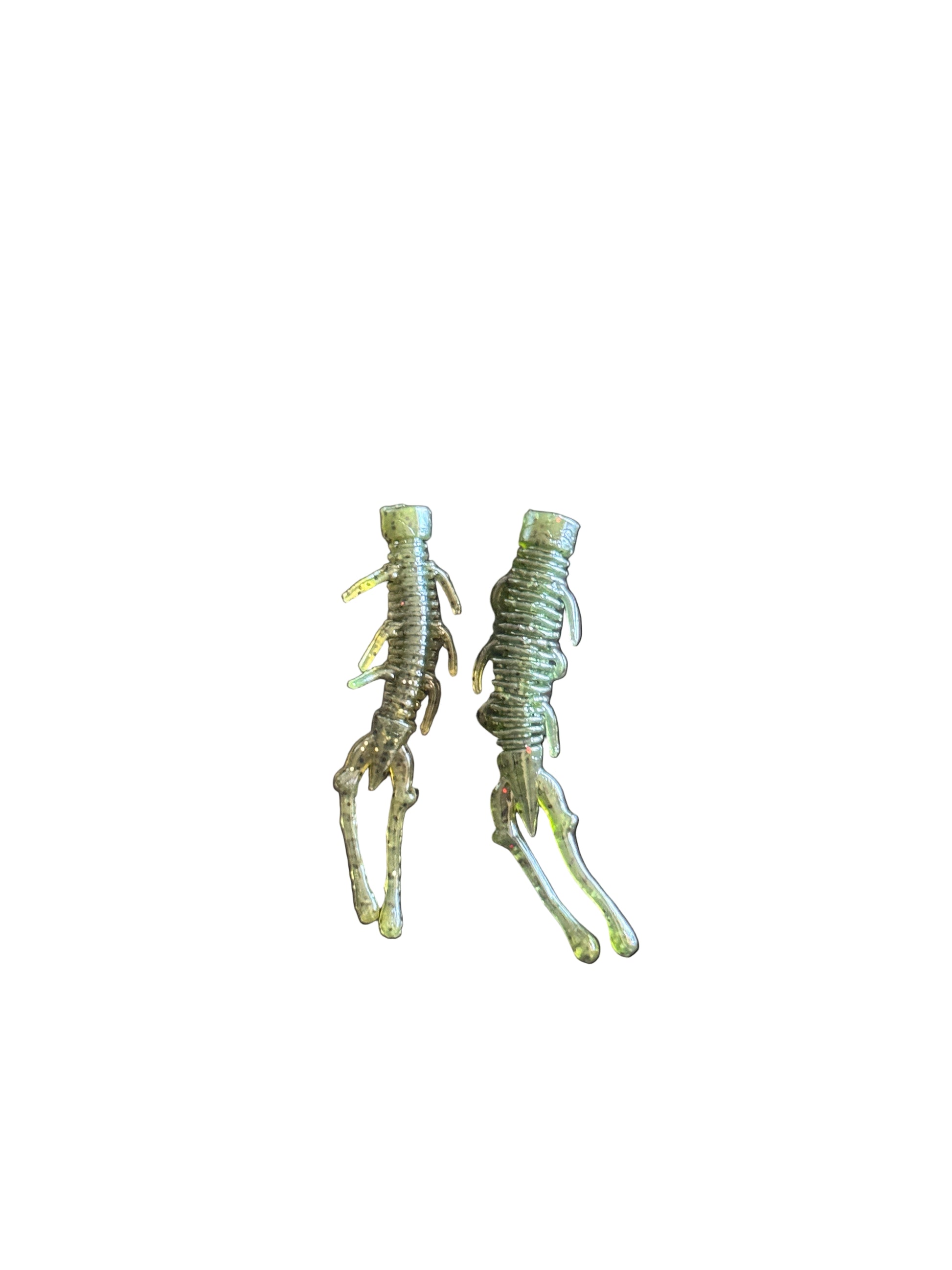 Dark Green Sea Bug Both Sizes