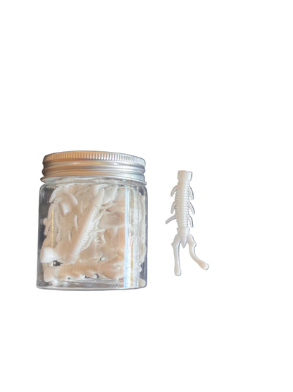 White Sea Bug 2.5 Inch